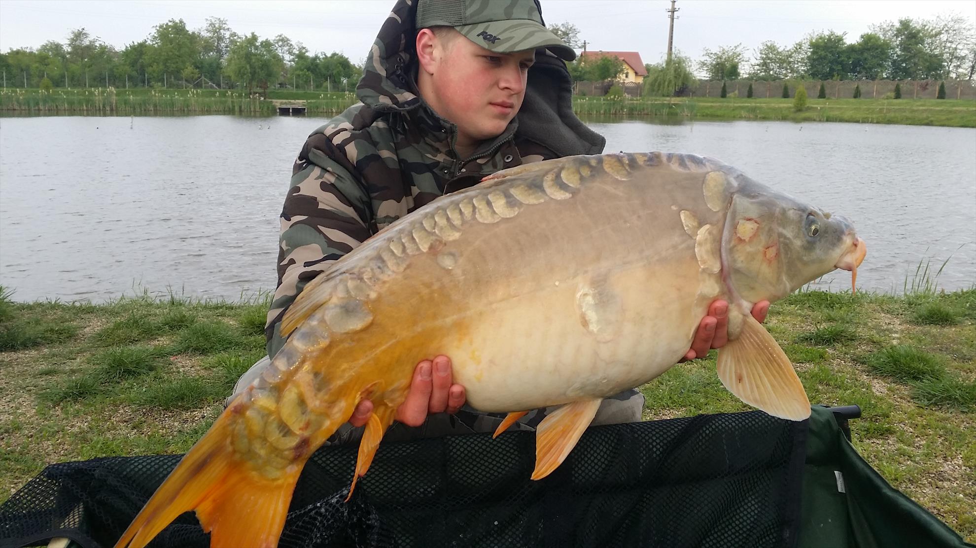 Crap - 20160427090036.jpg